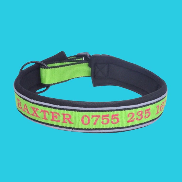 Reflective Personalized Padded Dog Collar, Custom Dog Collars Embroidered With Pet Name And Phone Number