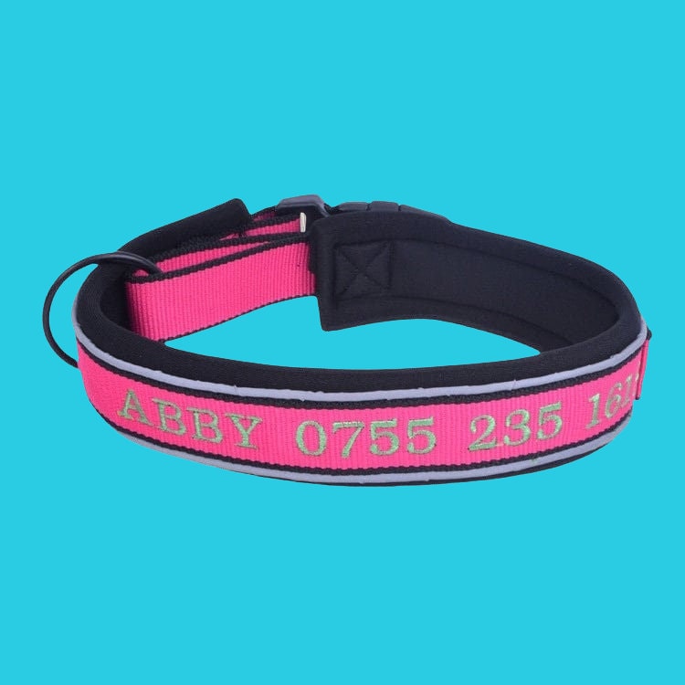 Reflective Personalized Padded Dog Collar, Custom Dog Collars Embroidered With Pet Name And Phone Number