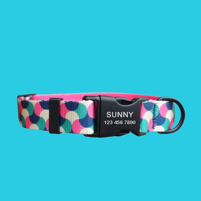 Personalized Dog Collar with Leash, Print Custom Puppy ID Collars, Cute Personalized Dog Gift, Pet Collar with Name