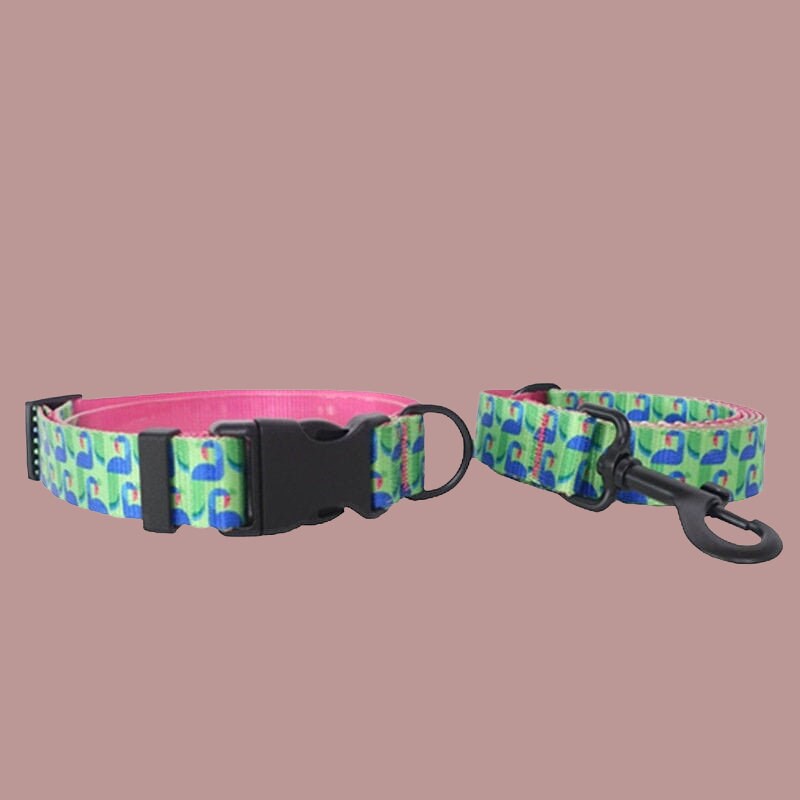 Bird Print Personalized Dog Collar with Leash Set, Cute Custom Pink Puppy Collar, Girl Dog Gift