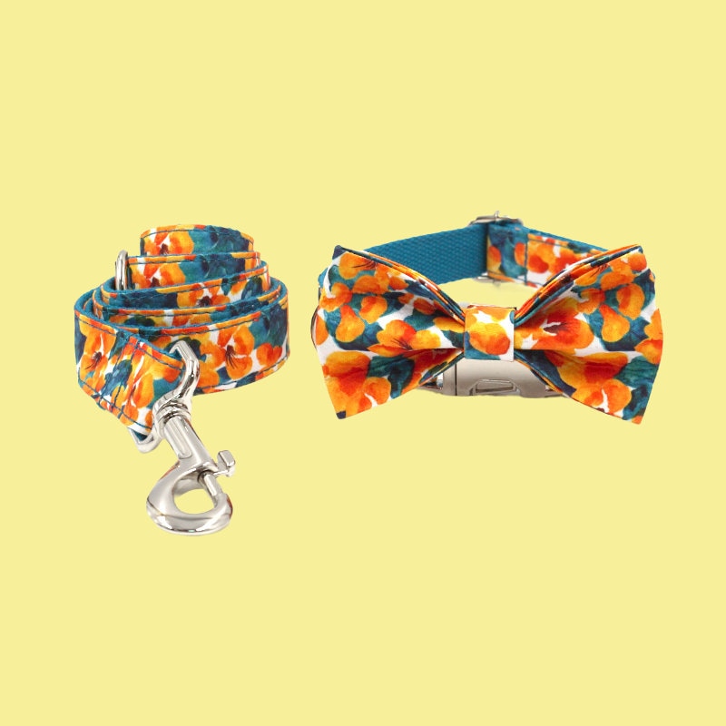 a dog collar and leash with a bow tie