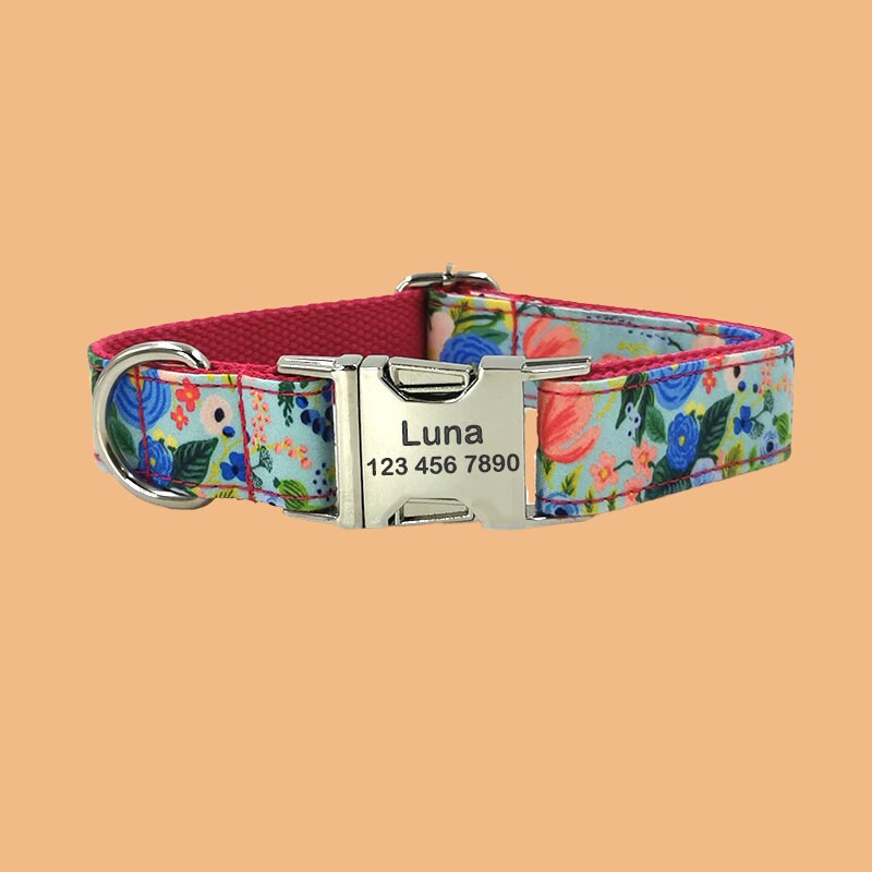 a dog collar with a name tag on it