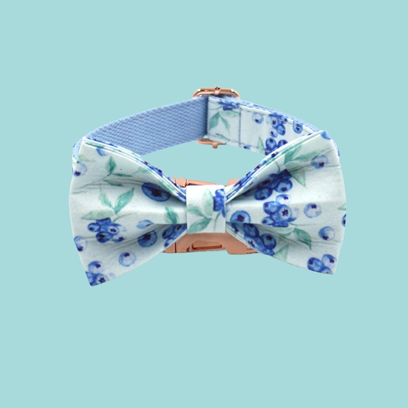 a dog wearing a bow tie on a white background