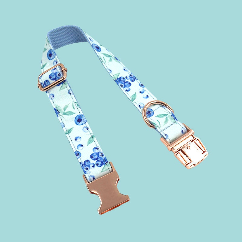 a blue and white floral dog leash with a rose buckle