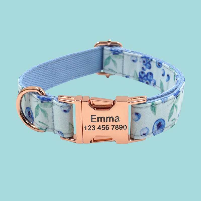 a dog collar with a name tag on it