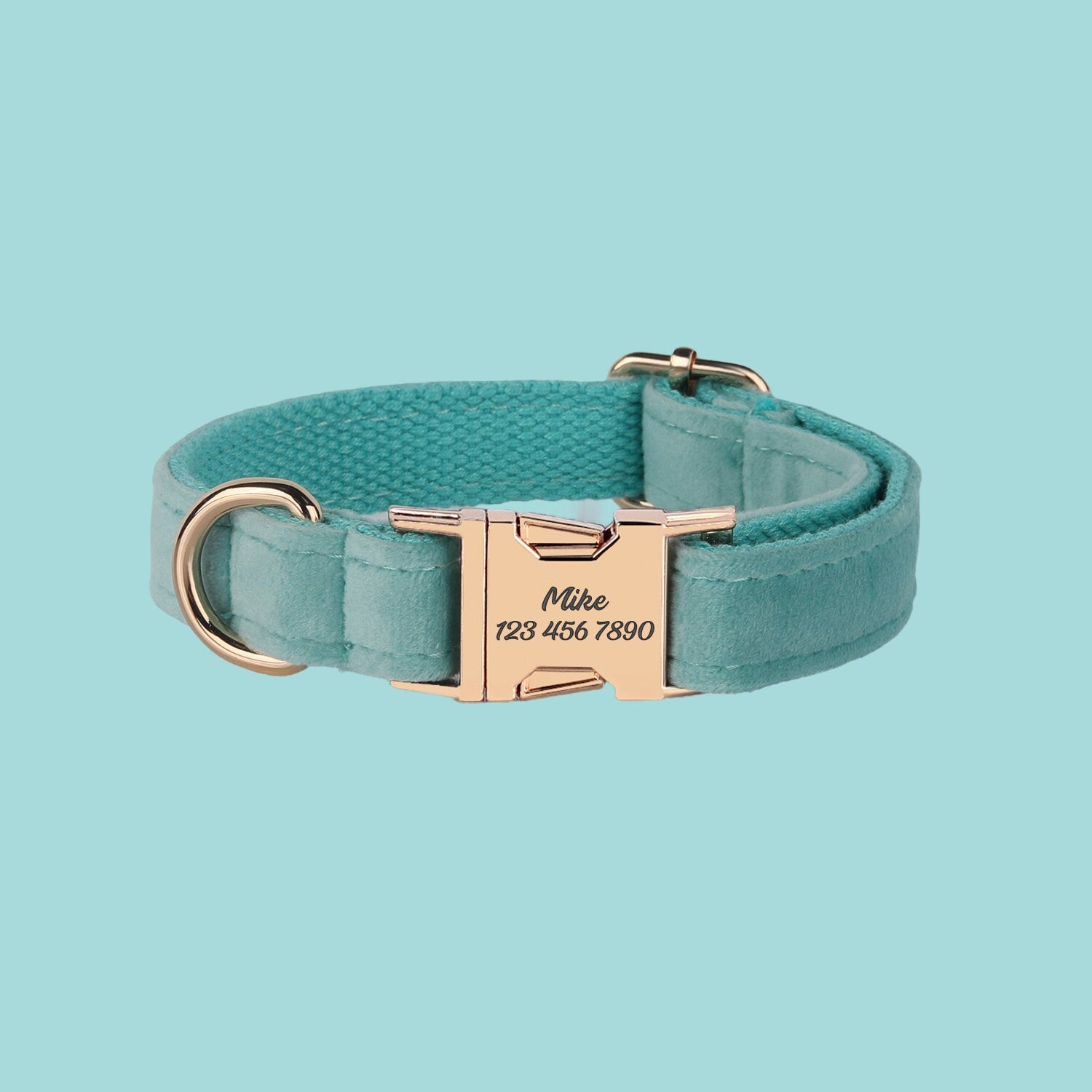 a dog collar with a name plate on it