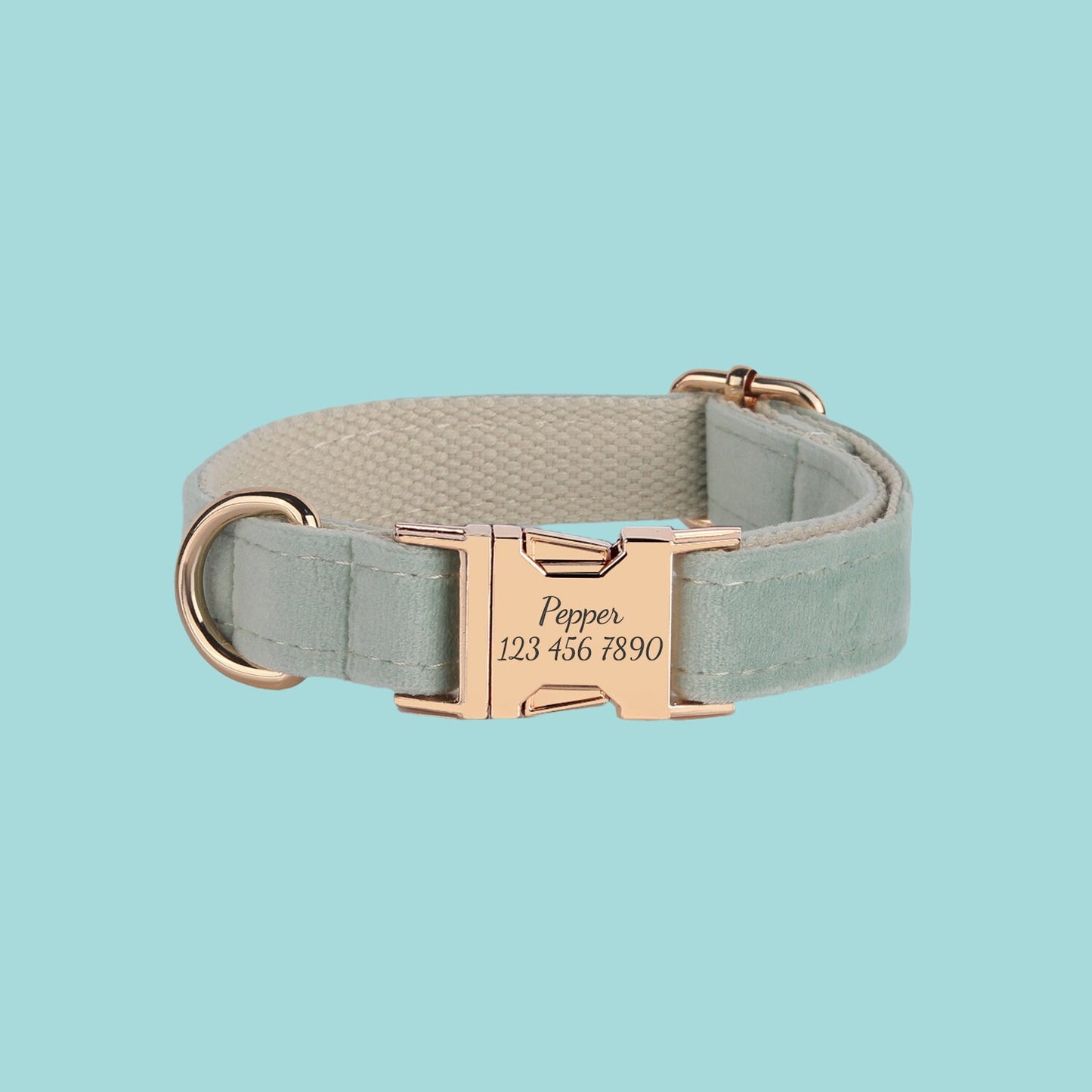 a dog collar with a gold buckle on it