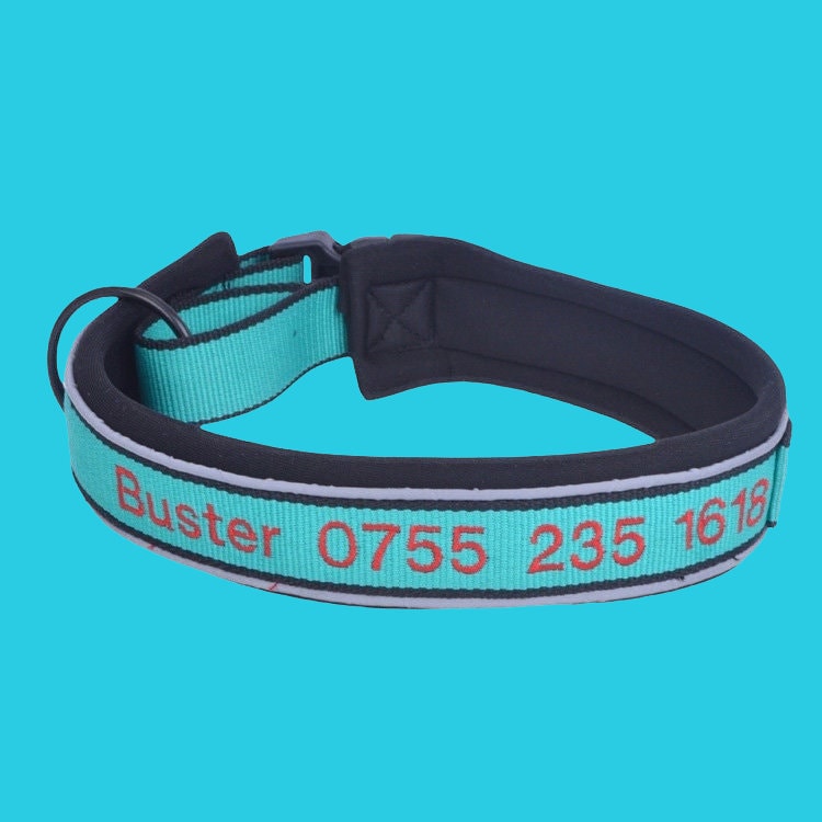 Reflective Personalized Padded Dog Collar, Custom Dog Collars Embroidered With Pet Name And Phone Number