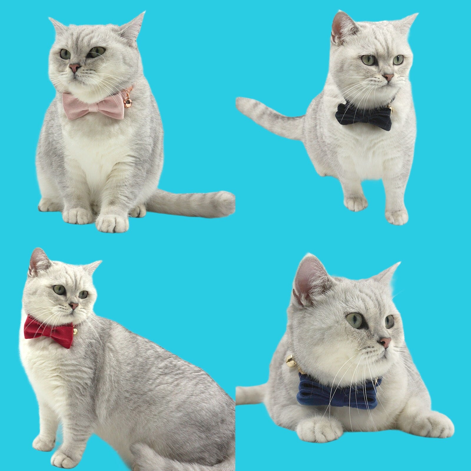 Personalized Cat Collar with Bow Tie, Custom Kitten Name Tag, 12 Colors Velvet Cat Collar with Free Bell, Engraved Cat Collars, Cat Gift