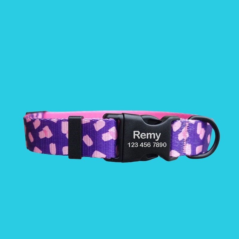 Personalized Dog Collar with Leash, Print Custom Puppy ID Collars, Cute Personalized Dog Gift, Pet Collar with Name