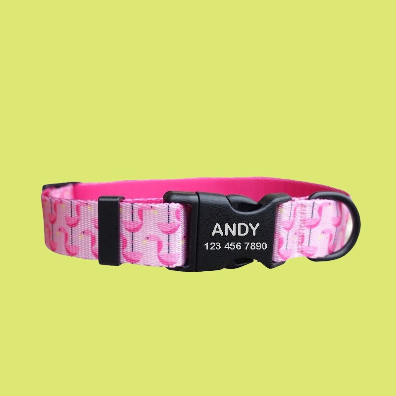 Bird Print Personalized Dog Collar with Leash Set, Cute Custom Pink Puppy Collar, Girl Dog Gift