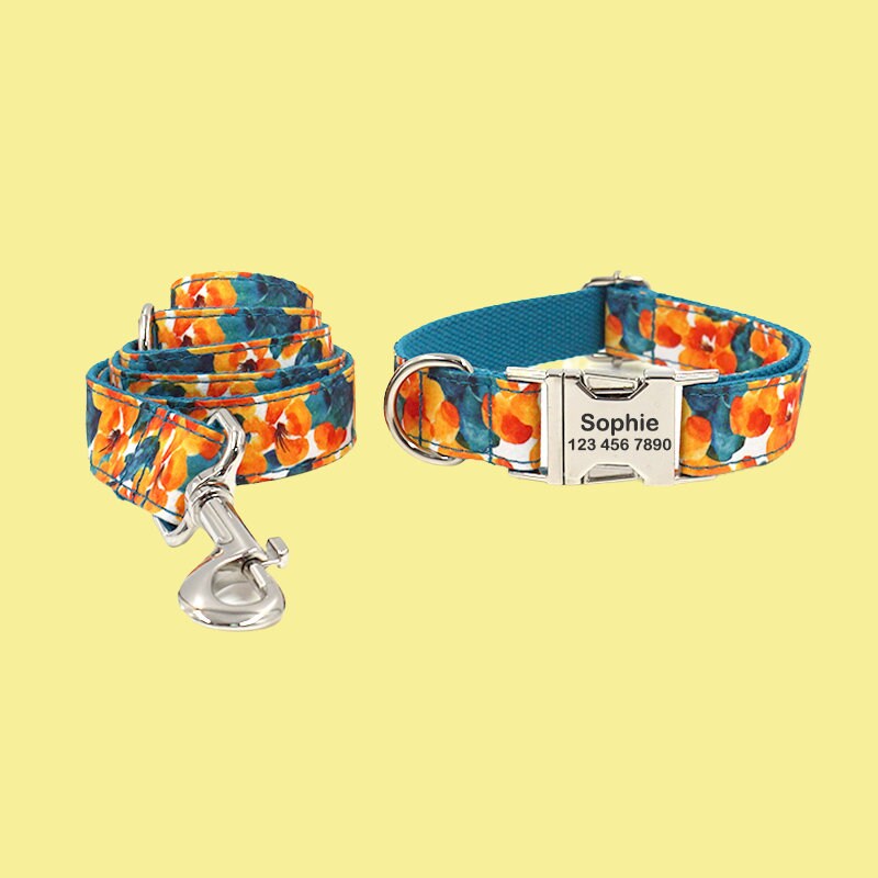 a dog collar and leash with a name tag