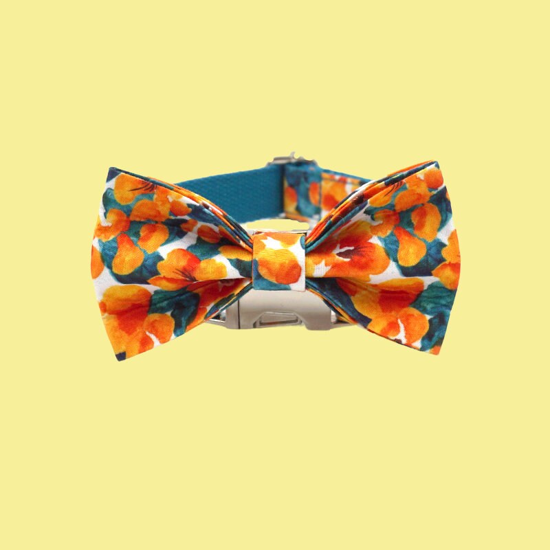 a dog wearing a bow tie on a white background