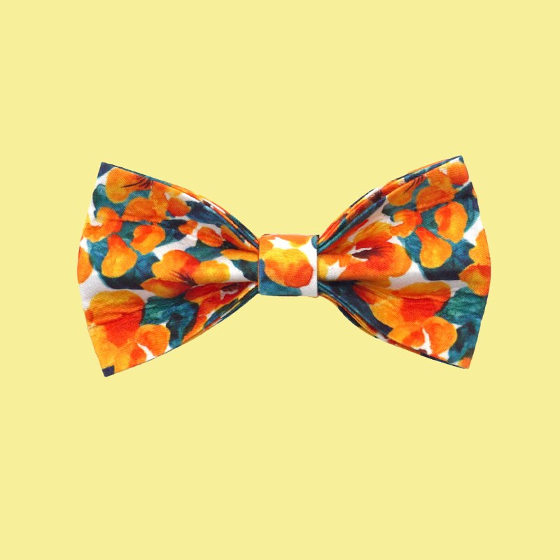 a bow tie on a white background