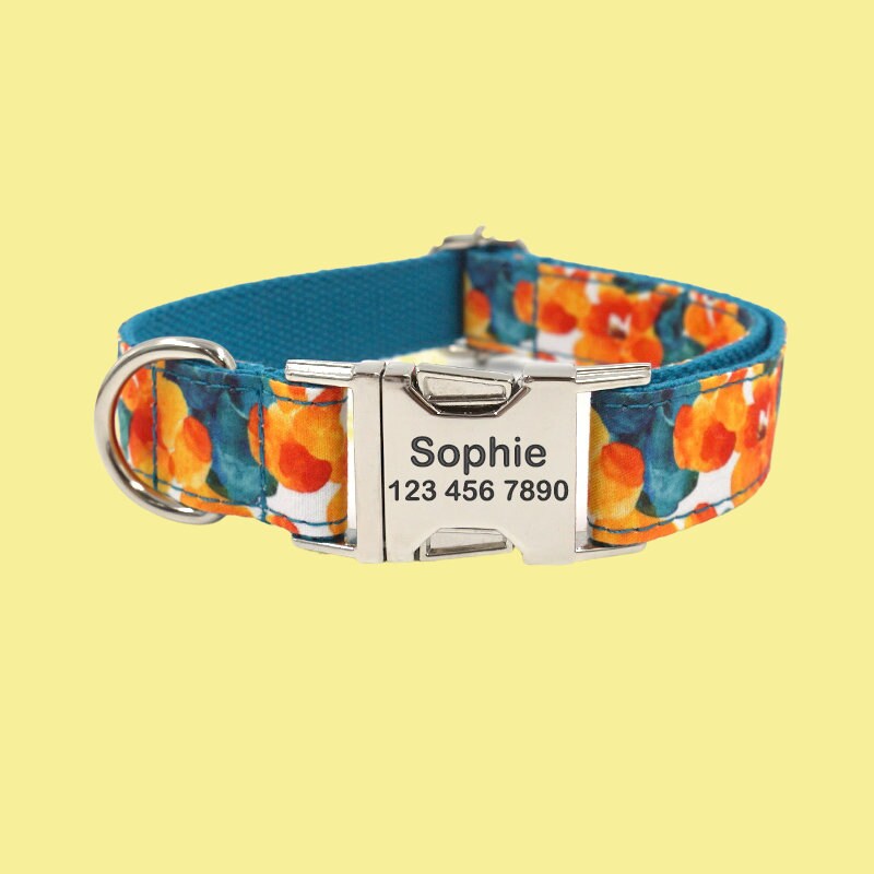 a dog collar with a name tag on it