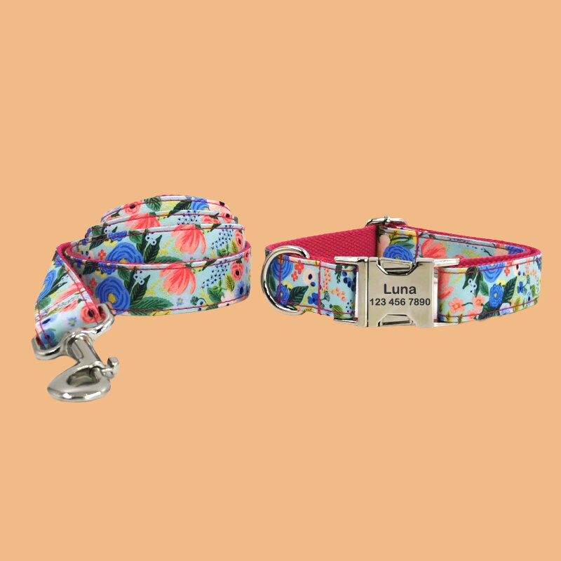 a dog collar and leash with a name tag