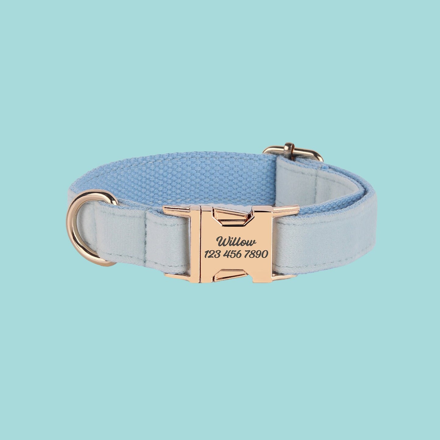 a blue collar with a gold buckle on it