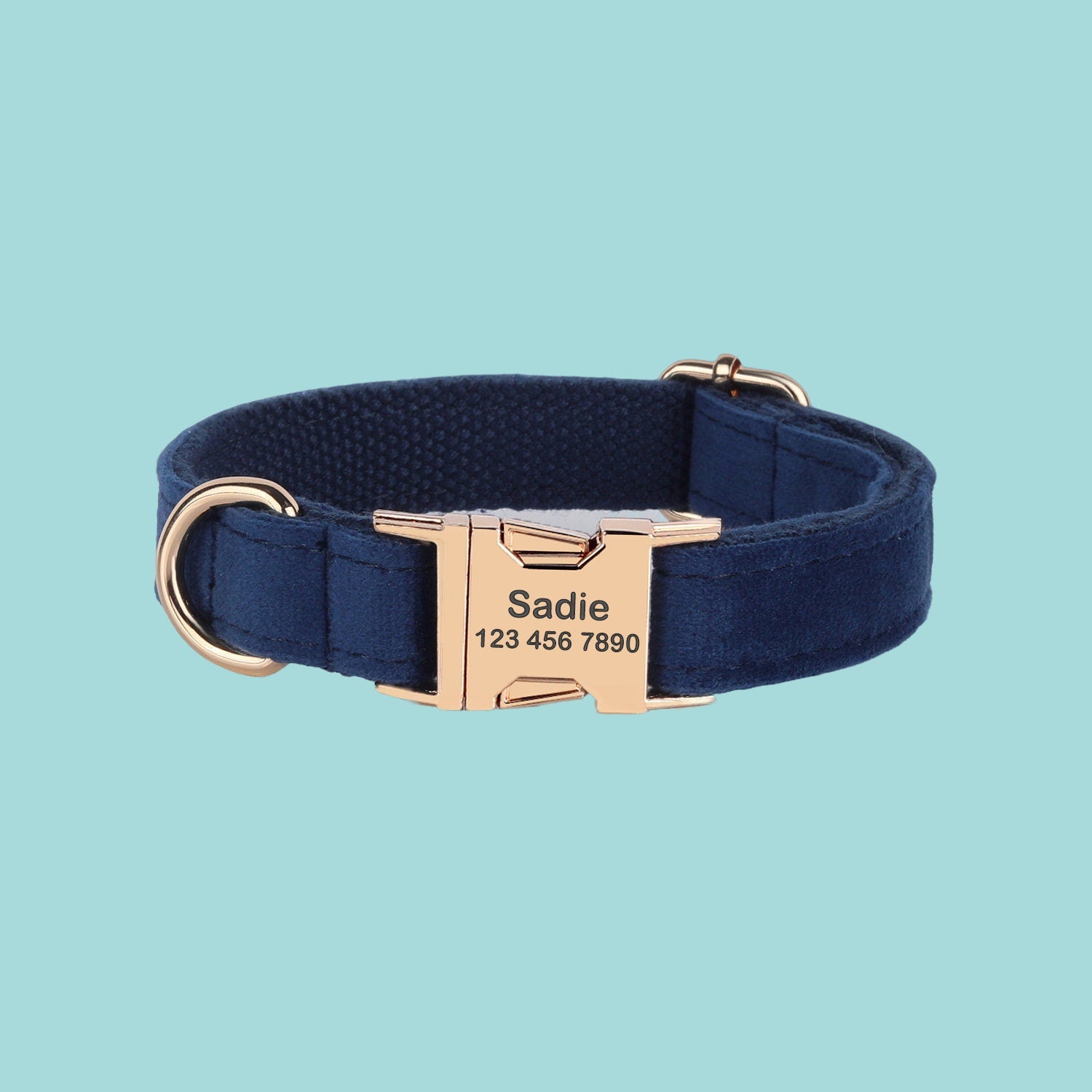 a dog collar with a name tag on it