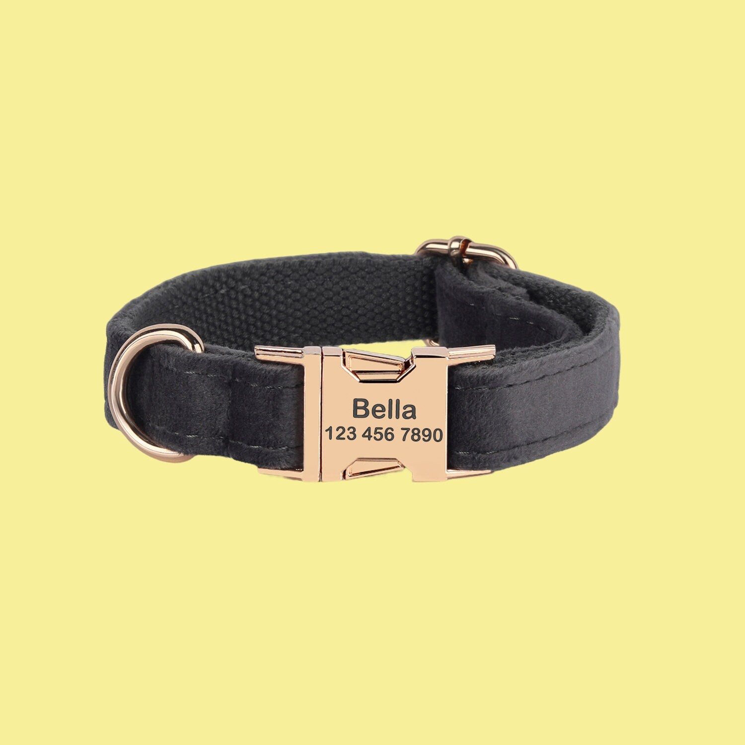 a dog collar with a name tag on it