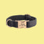 a dog collar with a name tag on it