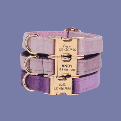 Velvet Personalized Dog Collar Leash Set, Purple + Pink Engraved Pet Name Metal Buckle, Wedding Dog Gift, Custom Puppy Collar