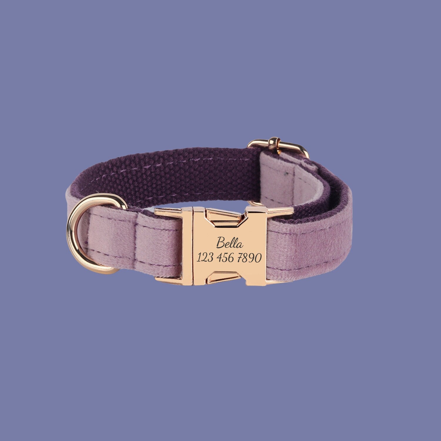 a purple dog collar with a gold buckle