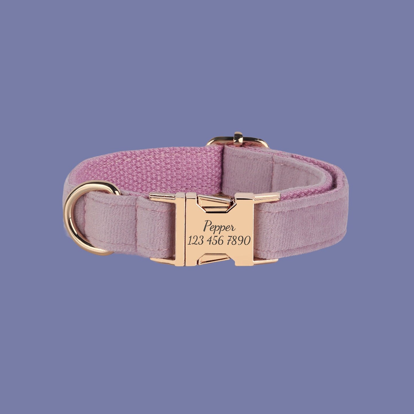 a pink dog collar with a gold buckle