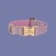 a pink dog collar with a gold buckle