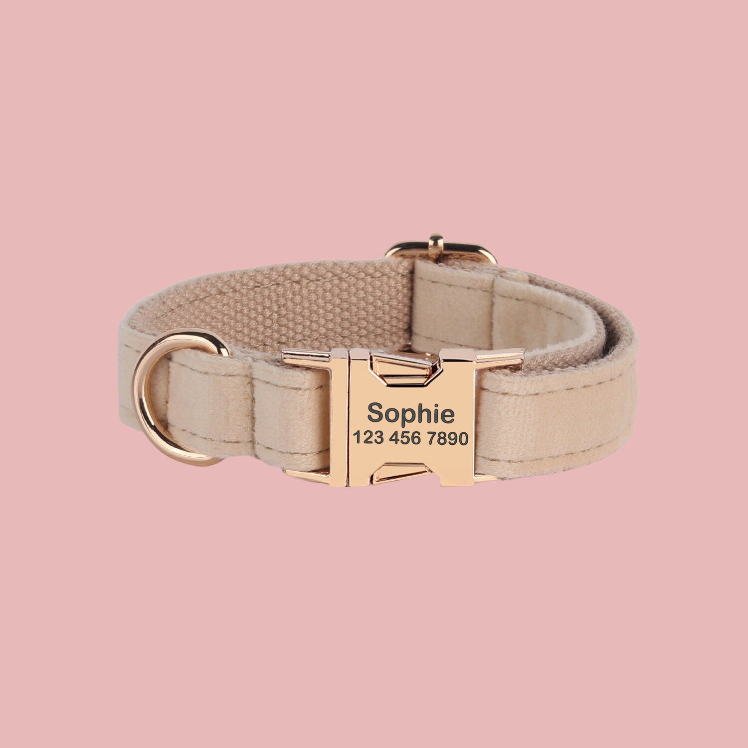 a dog collar with a name tag on it