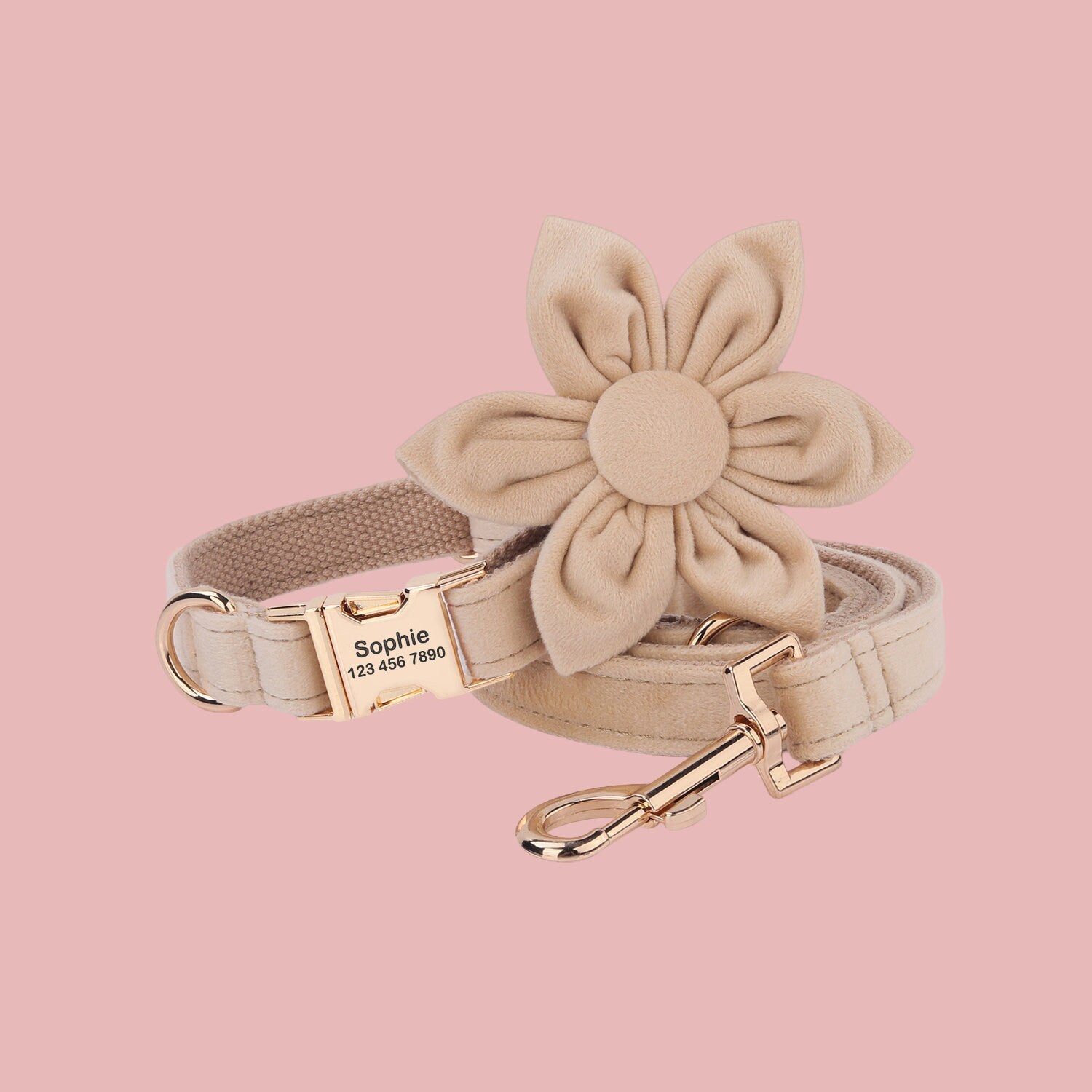 a dog leash with a flower on it