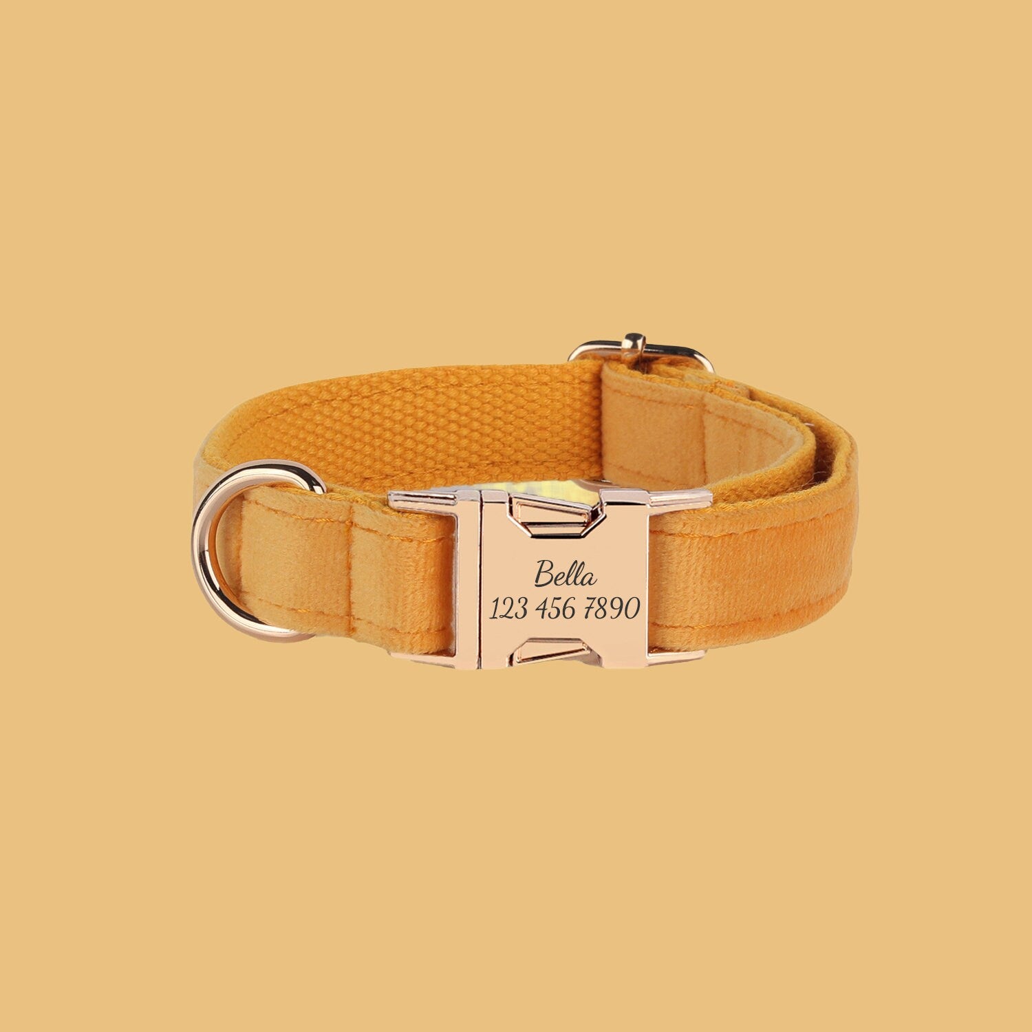 a dog collar with a name tag on it