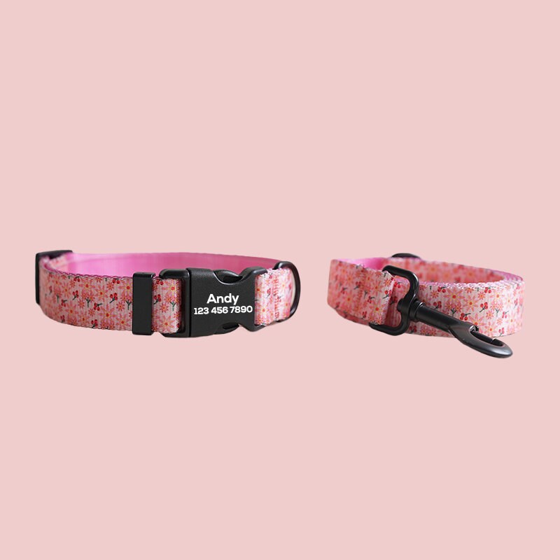 two pink and black collars on a white surface