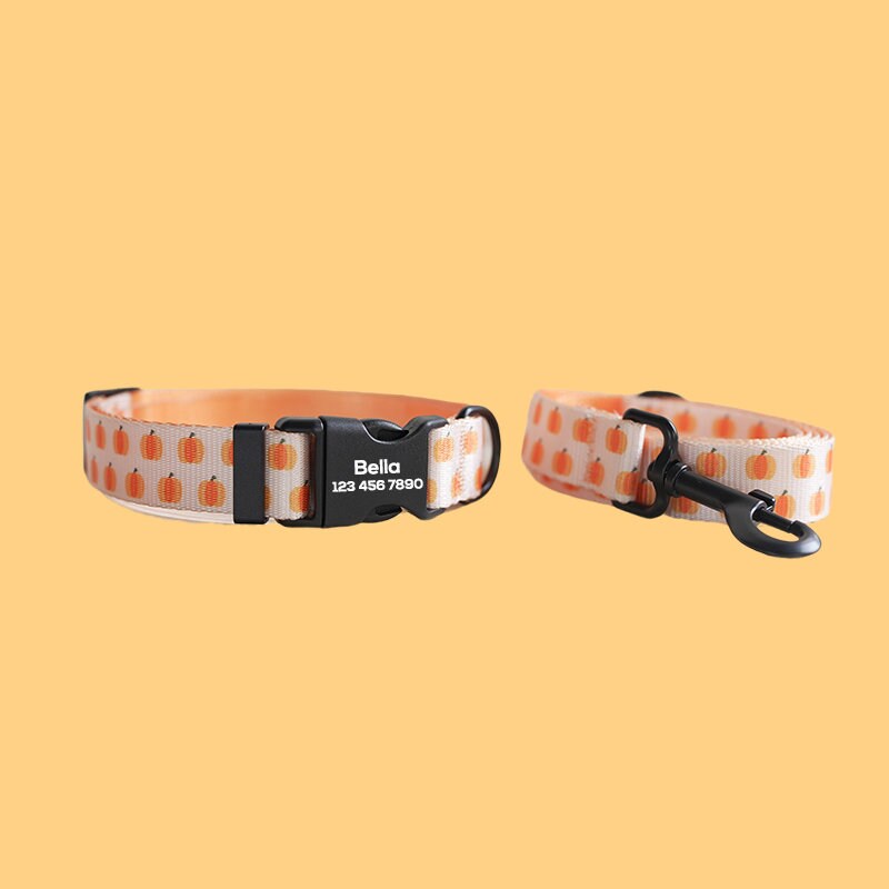 two orange and white polka dot dog collars