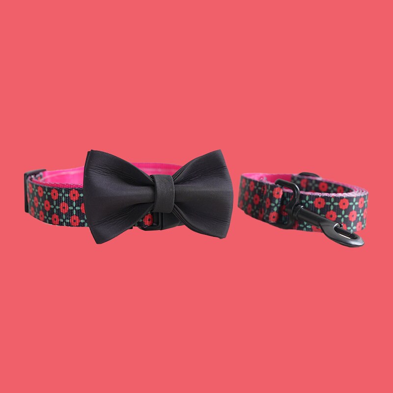 a bow tie collar and a bow tie collar