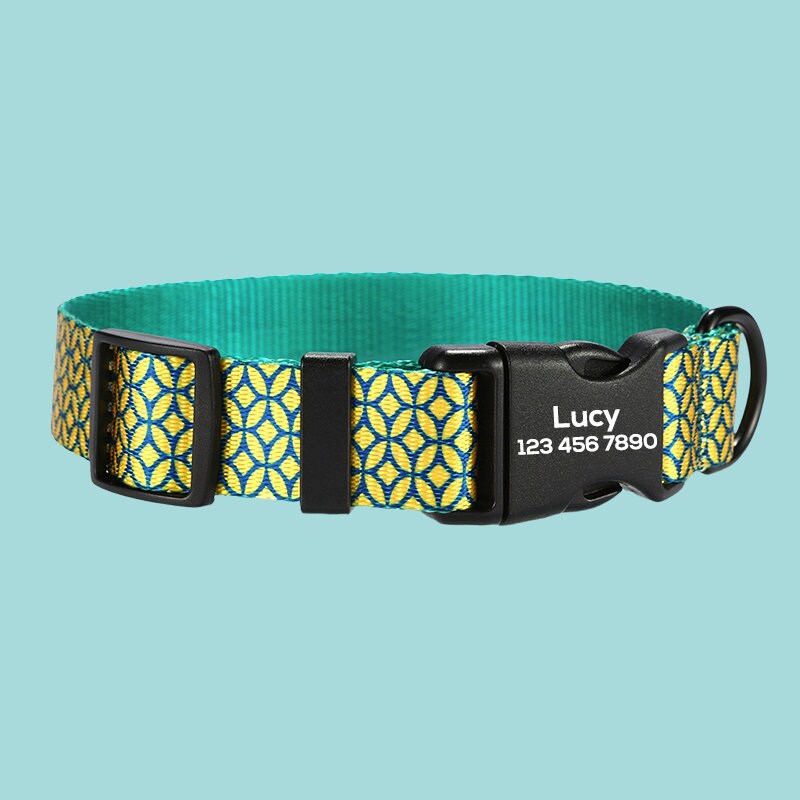 a green and yellow dog collar with a black buckle