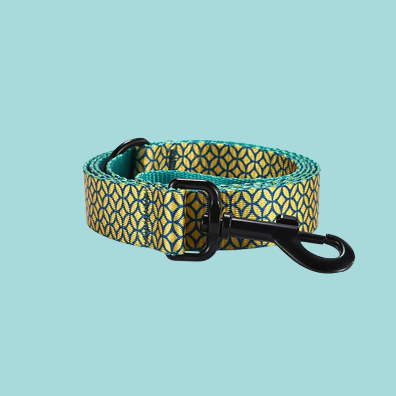 a yellow and green dog collar with a black buckle