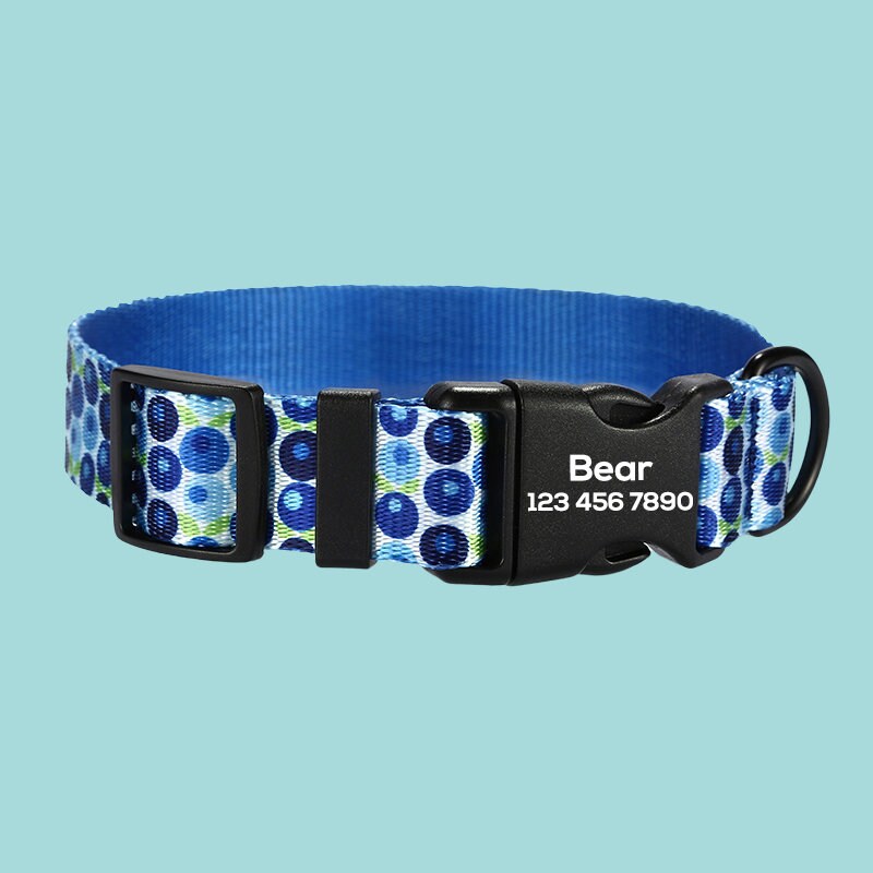 a dog collar with a polka dot design