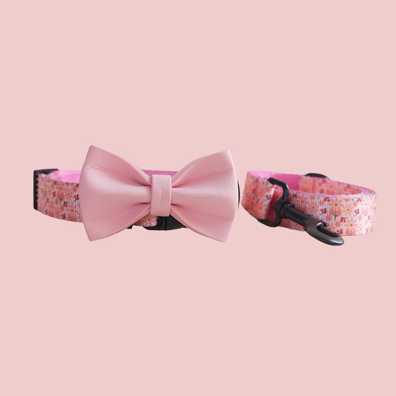 a pink bow tie collar and a pink bow tie collar