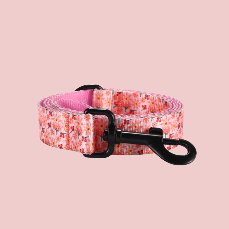 a dog collar with a hook on it