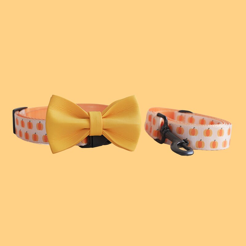 a dog collar with a bow tie on it