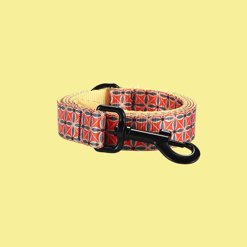 a dog leash with a black metal hook on a white background