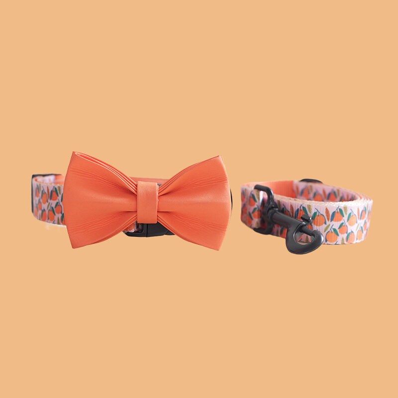 a dog collar and a bow tie on a table