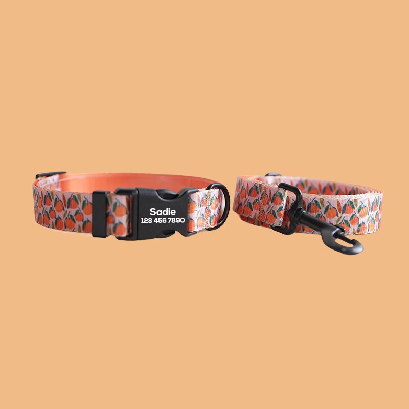 a dog collar and leash with an orange design