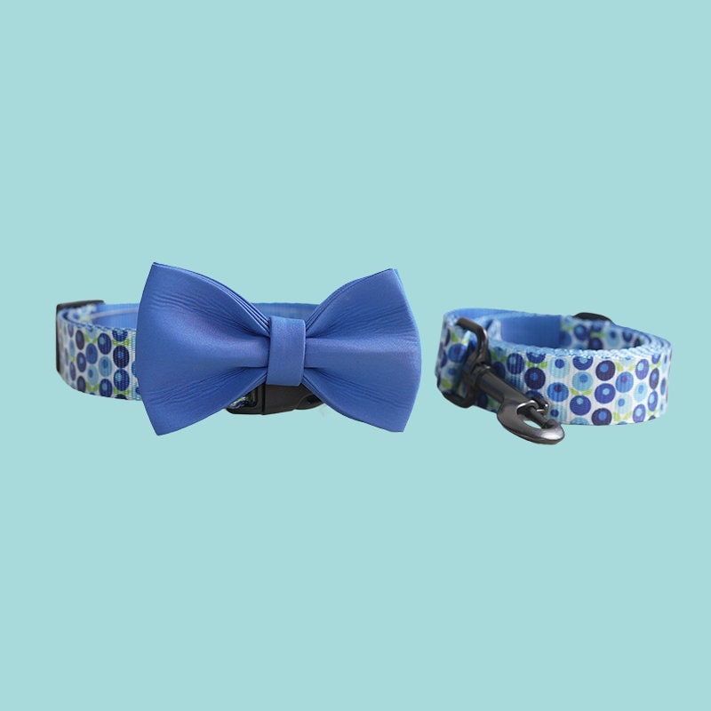 two collars with a blue bow tie on them