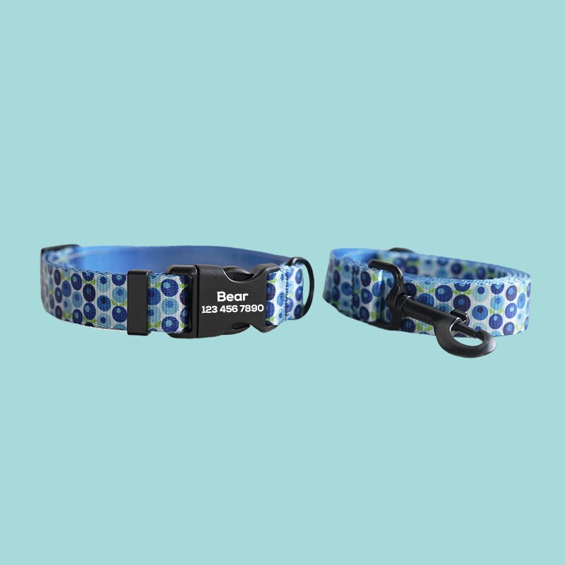 two blue collars with a dog&#39;s name on them