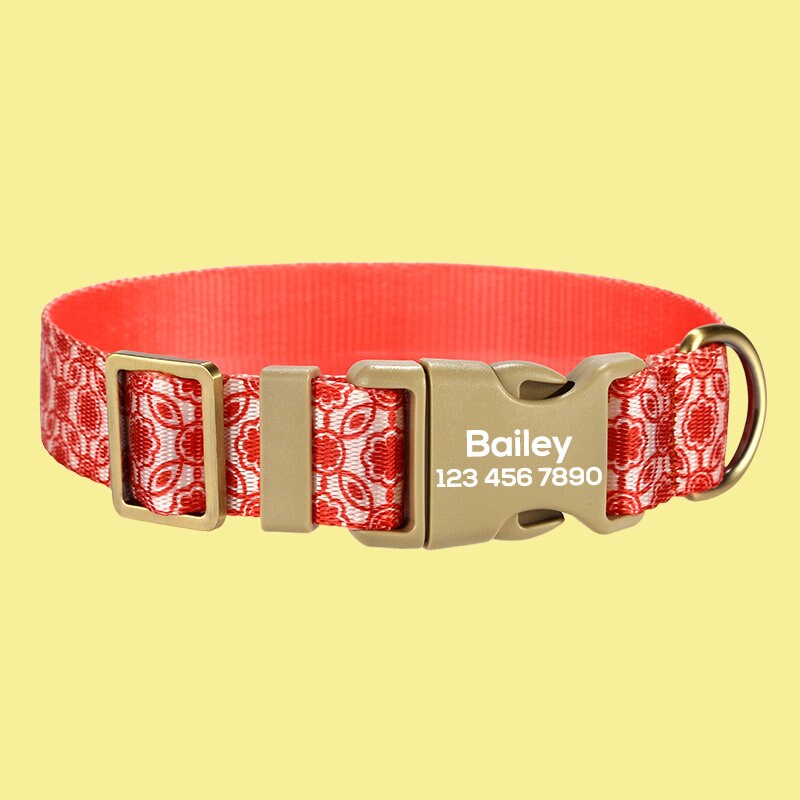 a dog collar with a name tag on it