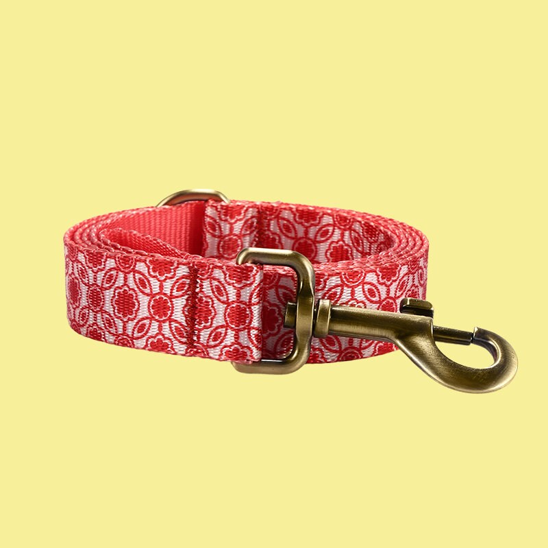 a red and white dog collar with a brass hook